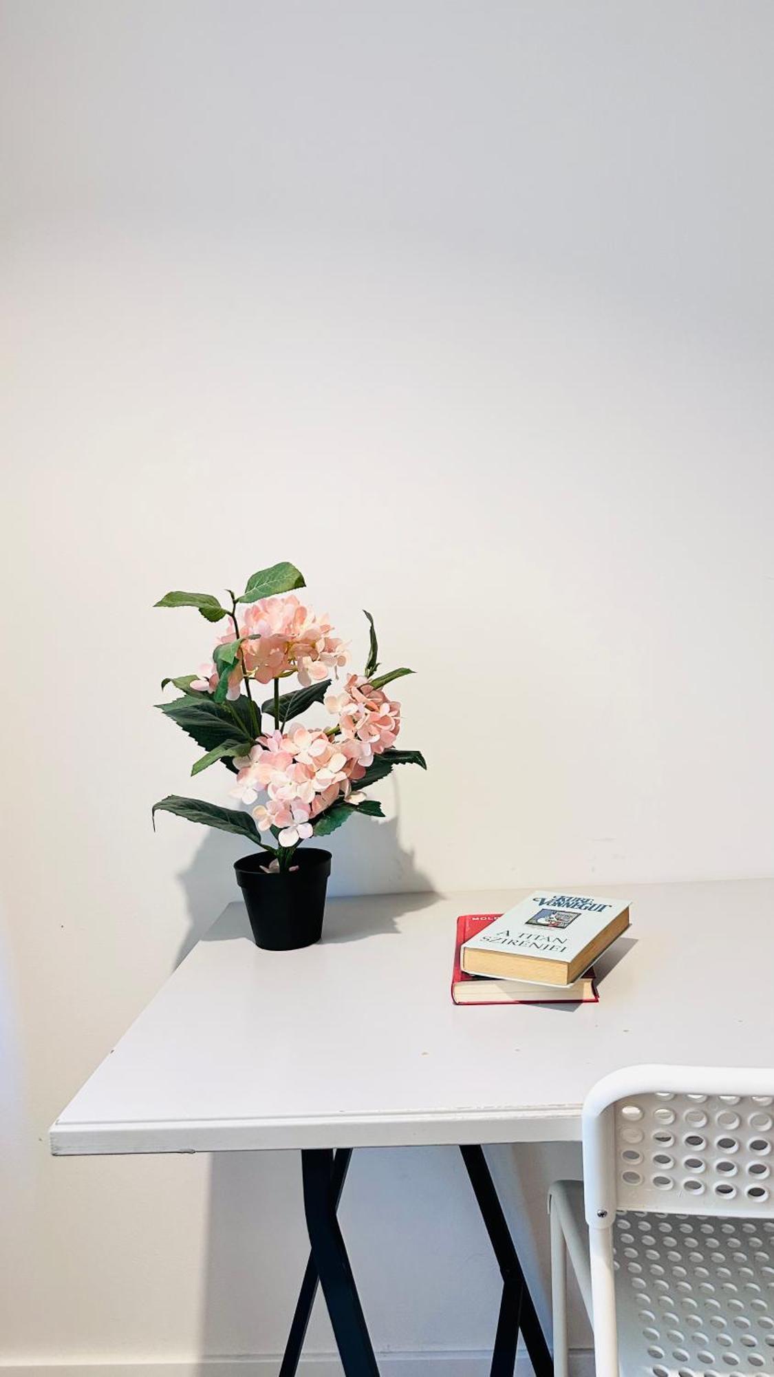 Rozsa Apartment ブダペスト エクステリア 写真
